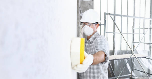 Why You Should Choose Our Mold Remediation Services in Mission, KS