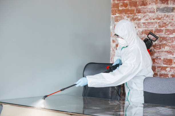 Environmental Consulting for Mold Prevention in Mission, KS