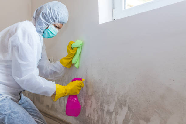 Best Biohazard Mold Removal  in Mission, KS